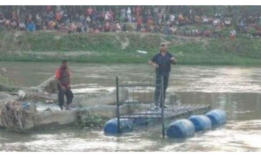 Matt Wright Gunakan Jebakan, bantu Tangkap Buaya Berkalung Ban