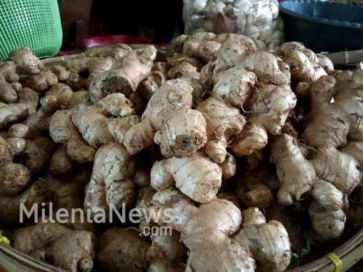 Jahe yang Dijual di Pasar Kota Rembang