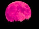 Super Pink Moon, Pemandangan Indah Tersaji malam nanti saat Terkurung di Rumah