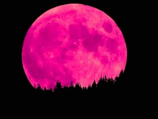 Super Pink Moon, Pemandangan Indah Tersaji malam nanti saat Terkurung di Rumah