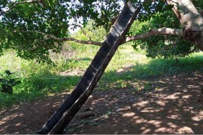 Bagian dari Roket Tiongkok Seberat 20 Ton Jatuh di Pantai Gading