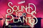 Konser ‘Sound for Plants’ akan Digelar untuk Tanaman dan Manusia