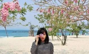 Pantai Sakura, Keindahan Jepang di Kepulauan Seribu