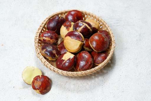 Banyak yang Tidak Suka, Ternyata Jengkol Punya Banyak Manfaat