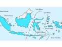 3 Kelompok Persebaran Fauna di Indonesia