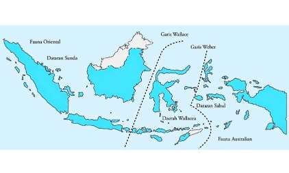3 Kelompok Persebaran Fauna di Indonesia