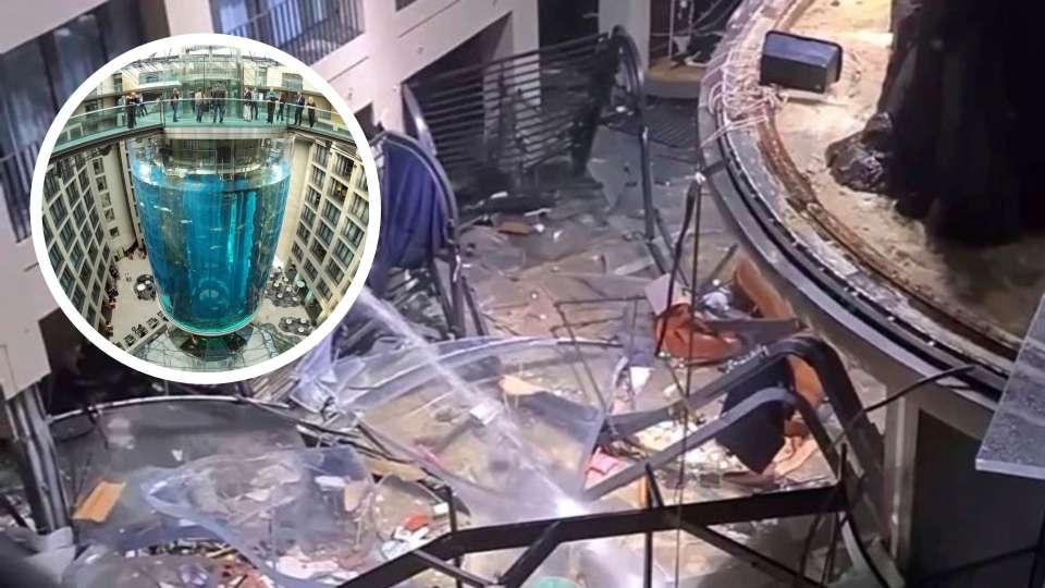 Akuarium Raksasa Berlin Pecah, 1.500 Ikan Mati