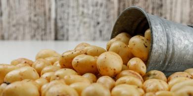 Mengenal Diet Kentang dan Manfaatnya