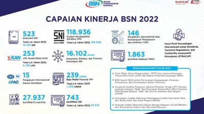 Capaian BSN