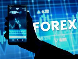 Apa Itu Forex? Dan 4 Tips Seputar Trading Forex, Cek Disini!