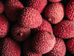 7 Manfaat Buah Leci Untuk Kesehatan Tubuh