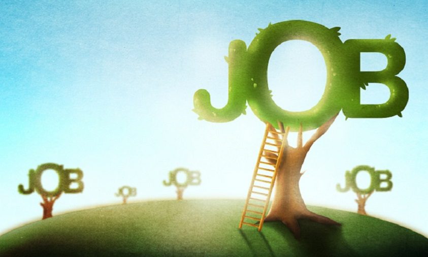 Fresh Graduate Wajib Tau! Kenapa Lowongan Kerja Ada Pembatasan Usia