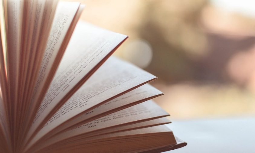 Jurnal Internasional Perdana