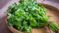 Manfaat Daun Ketumbar