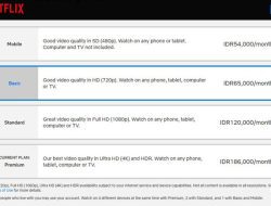 Netflix Turunkan Harga Berlangganan