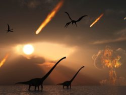 Inilah Alasan Dinosaurus Punah Karena Asteroid Menurut Ahli Geologi
