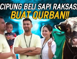 Hebat! Rayyanza Beli Sapi Kurban dengan Uang Sendiri!