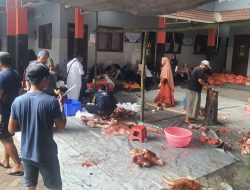 Kumpulkan Ratusan Kambing dan Puluhan Sapi, Al-Irsyad Al-Islamiyah Jatim Salurkan 40 Ribu Paket Daging Qurban