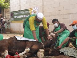 Menyasar Daerah Marjinal dan Pelosok, Baznas Depok Luncurkan Program Kurban 2023
