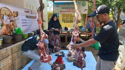 Guru SMA 21 Makassar Puas Qurban di BMH, Tahun Depan Ingin Lebih Banyak lagi