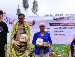 412 Warga Suku Tengger Senyum Penuh Syukur Terima Qurban BMH
