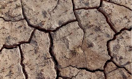 Penyebab Pencemaran Tanah