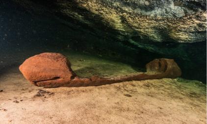 Penemuan Sampan Kayu Bersejarah