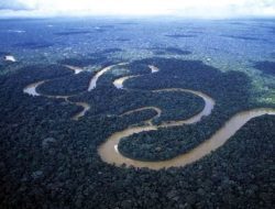 Ini 5 Sungai Terpanjang di Benua Amerika, Amazon Urutan Berapa?