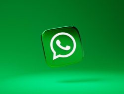 WhatsApp Uji Coba Fitur Berbagi Video Premium Untuk Pengguna Android  