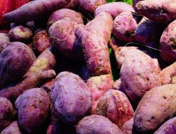 7 Makanan Rendah Kalori yang Cocok Untuk Diet