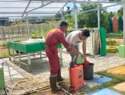 Dosen Teknik Kimia Polsri Ciptakan Pupuk Cair Organik dari Bahan Sederhana