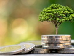 Investasi Saham Syariah: Peluang Menjanjikan Bagi Generasi Muda