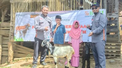 Sambut HUT RI, BMH Kebumen Merdekakan Yatim dengan Pemberdayaan Ternak Kambing
