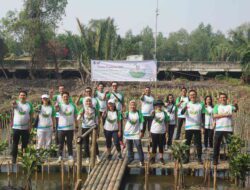 Mitra Sektor Keuangan LindungiHutan, Tanam Lebih dari 36.000 Pohon di Sepanjang Tahun 2023