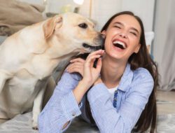 Anjing Lebih Respon Suara Wanita Daripada Pria, Apa Benar?