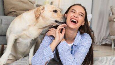 Anjing Lebih Respon Suara Wanita Daripada Pria, Apa Benar?