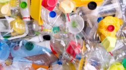 Bahaya Plastik Sekali Pakai