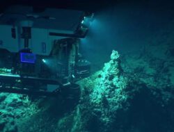 Temuan Terbaru Virus Misterius di Dasar Palung Mariana!