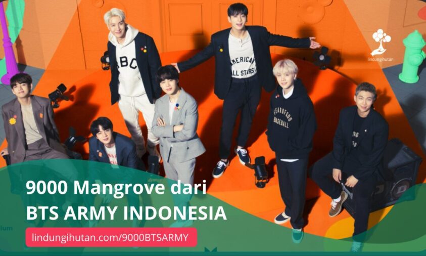fans kpop tanam pohon mangrove
