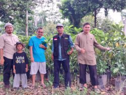 BMH Sumut Kunjungi Penangkaran Bibit Holtikultura Di Binjai, Penjajakan Bangun Kebun Wakaf Produktif