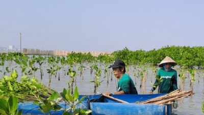 LindungiHutan Tanam Pohon