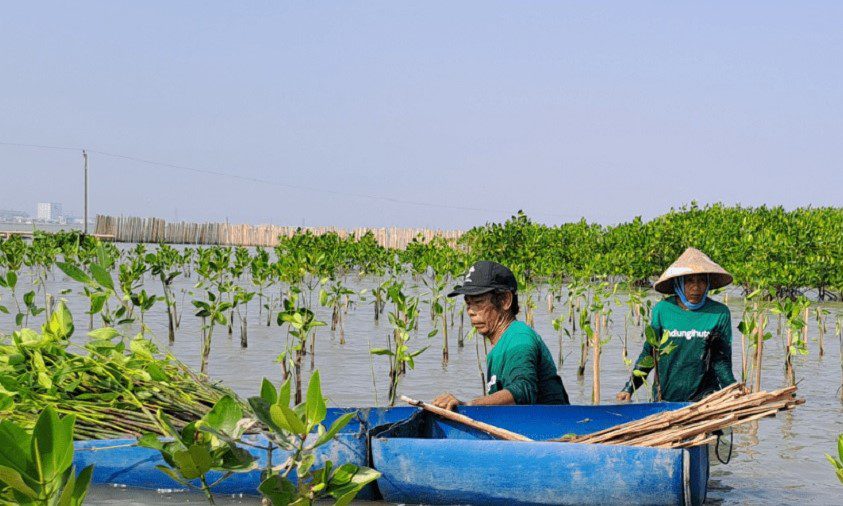 LindungiHutan Tanam Pohon