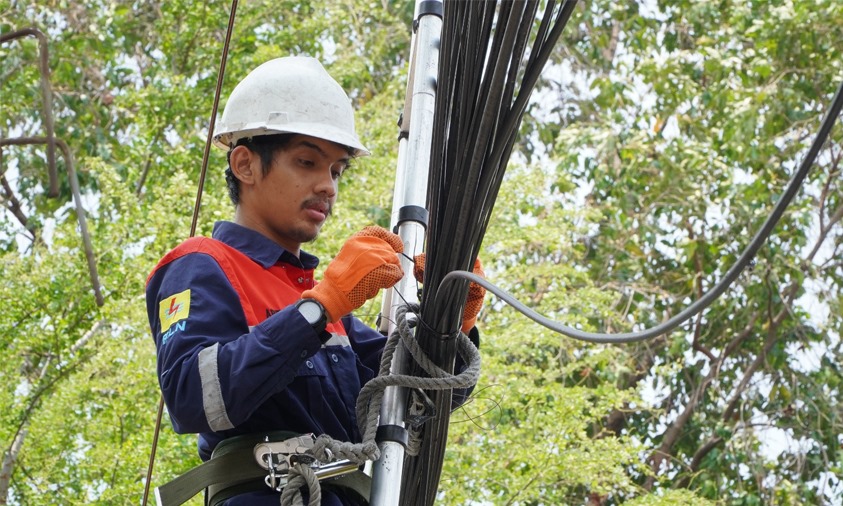 PLN ICON