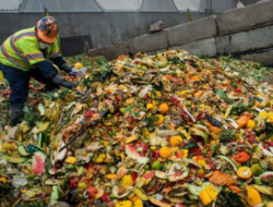 Mengapa Membuang Sisa Makanan Bisa Memperburuk Krisis Iklim? Ini Penjelasannya!