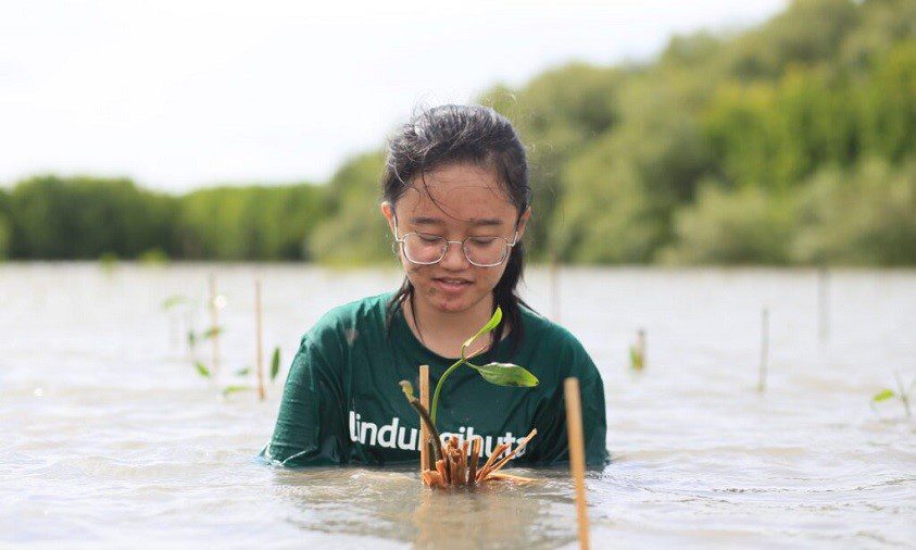 konservasi lingkungan LindungiHutan