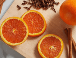 7 Pengharum Ruangan Alami yang Dapat Kamu Buat Sendiri