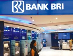 BRI Terapkan Green Development Dalam Bidang Pembangunan