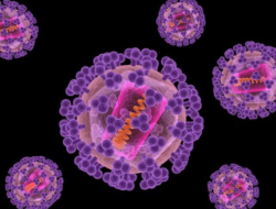 Ilmuwan Mengatakan Virus HIV Bisa Disembuhkan dengan Teknologi Crispr