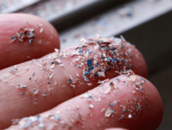 Penelitian Menunjukan Adanya Mikroplastik pada Jaringan Testis Manusia