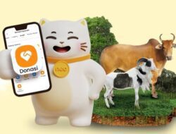 BNC Hadirkan Fitur Pelayanan Sedekah Daging Secara Online